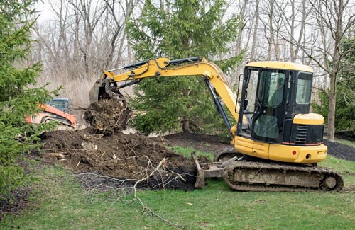 tree and stump removal work project in Winter Haven Florida